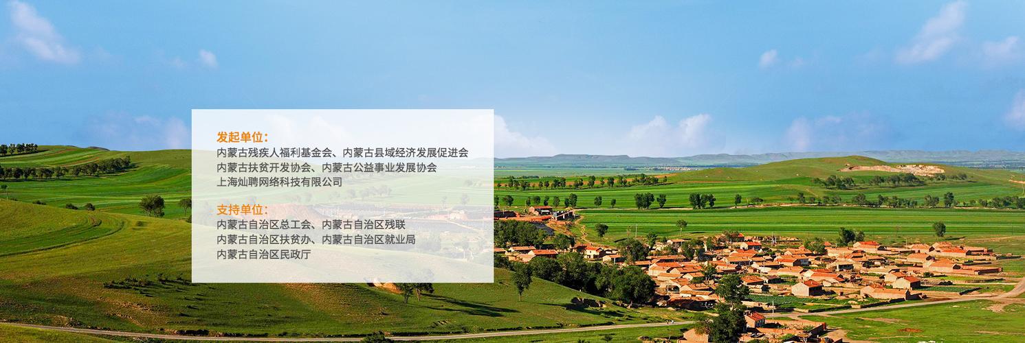 内蒙古残疾人就业扶贫工程——网页制作与网络工程技术咨询服务